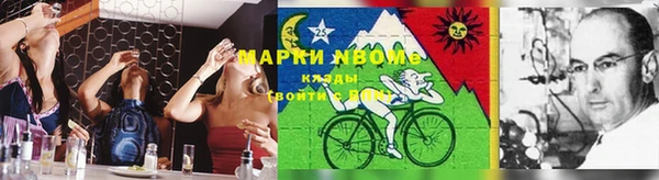 соль ск Алзамай