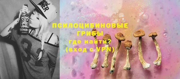 прущие грибы Алексин