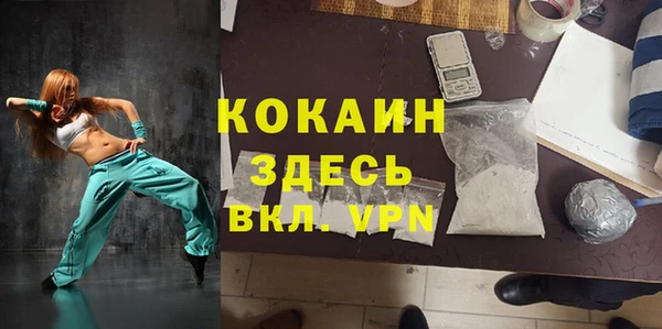 соль ск Алзамай
